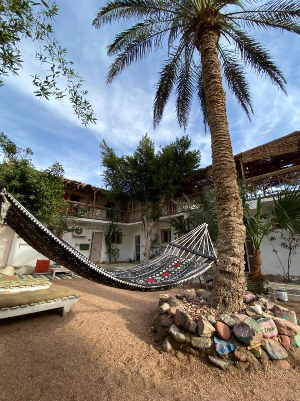 Sunrise Dahab Lodge Rum bild